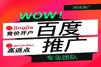 精选案例分享：SEM代运营公司效果展示